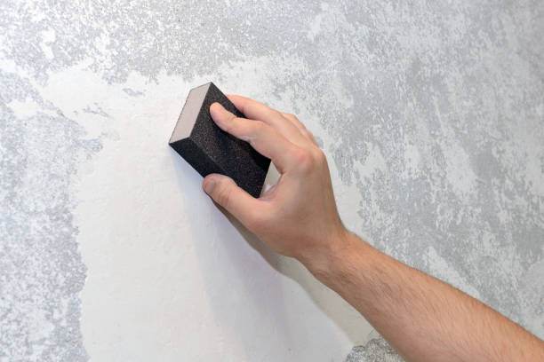Best HVAC Mold Inspection and Cleaning  in Perry, MI