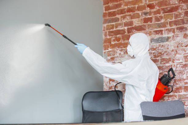 Best Mold Documentation for Insurance Claims  in Perry, MI