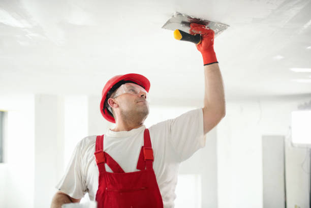 Best Air Quality Testing for Mold Spores  in Perry, MI