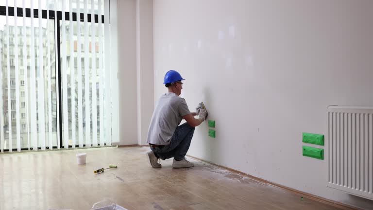 Best Mold Odor Removal Services  in Perry, MI