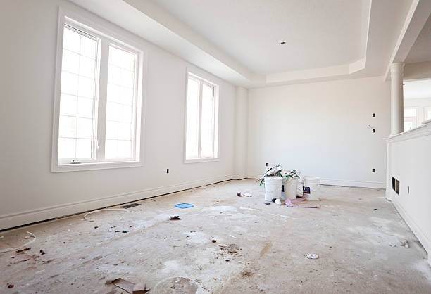 Best Basement Mold Removal  in Perry, MI