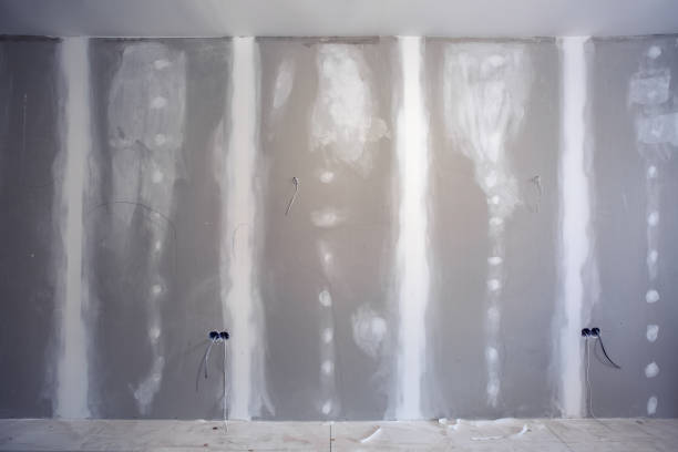 Forensic Mold Investigation in Perry, MI